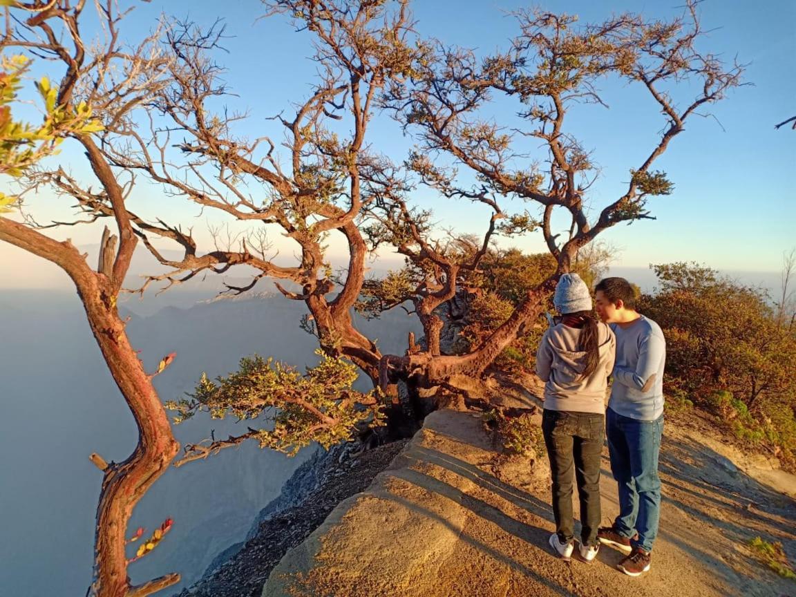 Thalia Homestay & Ijen Bromo Tour บันยูวังงี ภายนอก รูปภาพ