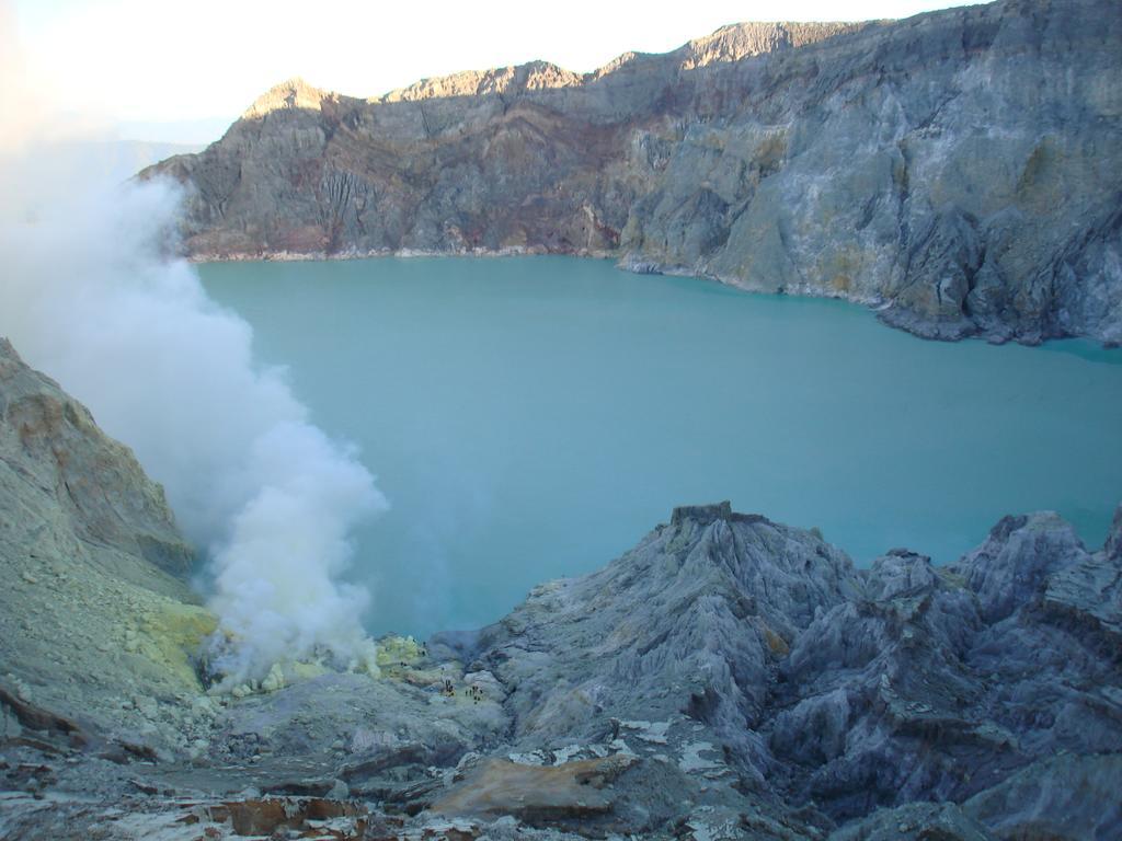 Thalia Homestay & Ijen Bromo Tour บันยูวังงี ภายนอก รูปภาพ