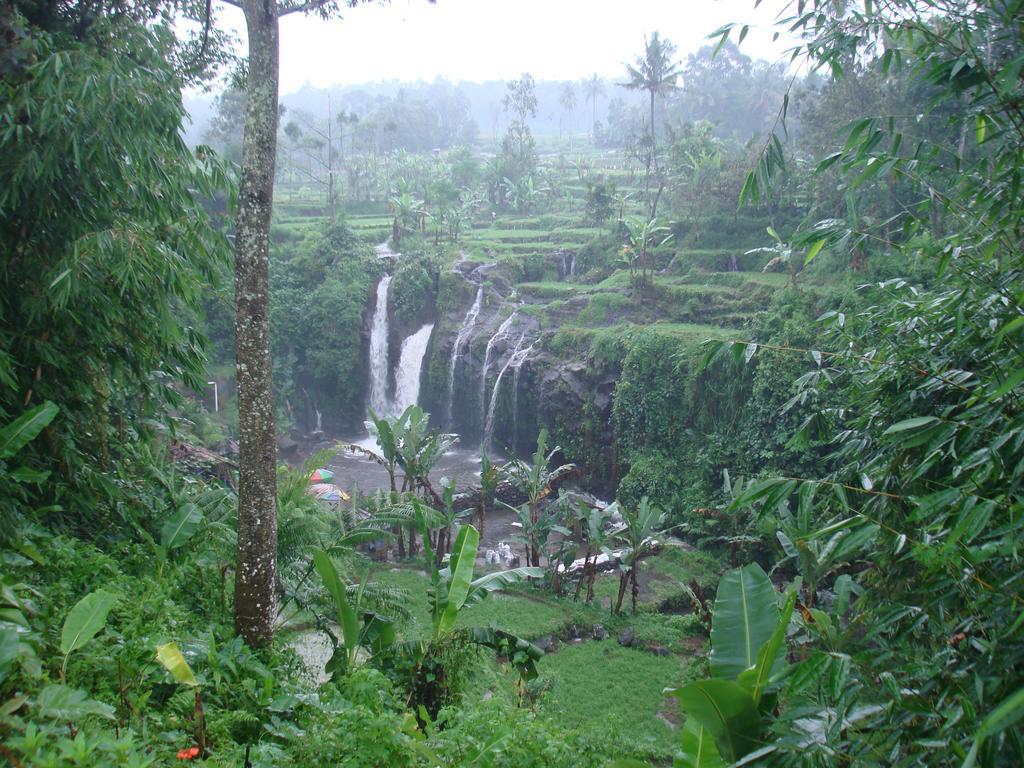 Thalia Homestay & Ijen Bromo Tour บันยูวังงี ภายนอก รูปภาพ