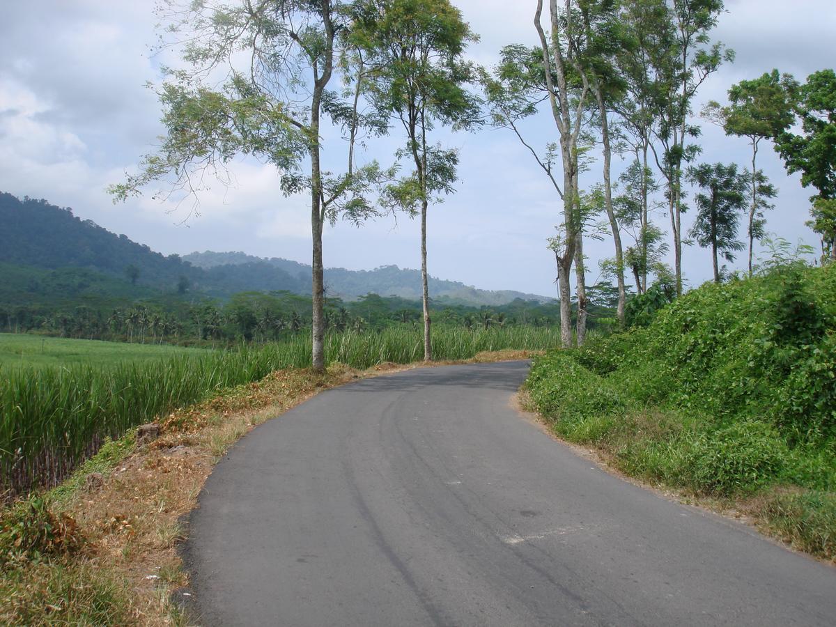 Thalia Homestay & Ijen Bromo Tour บันยูวังงี ภายนอก รูปภาพ
