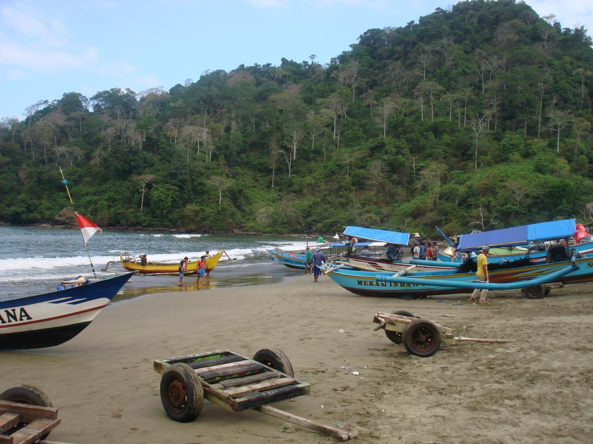 Thalia Homestay & Ijen Bromo Tour บันยูวังงี ภายนอก รูปภาพ